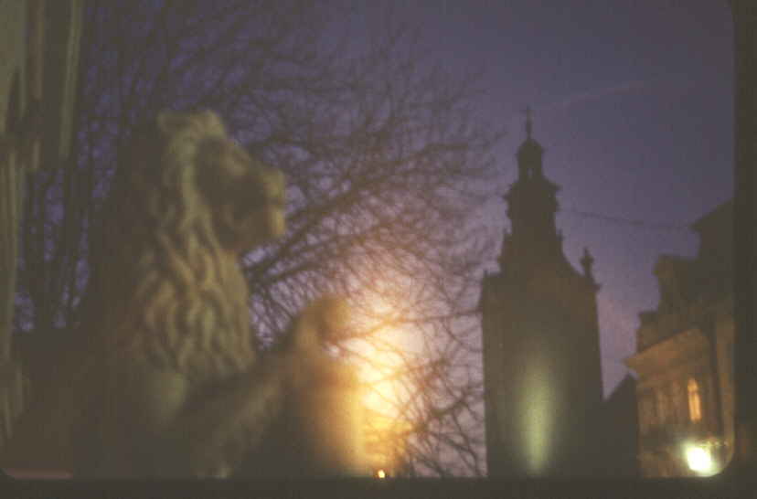 Nocny lew przed ratuszem